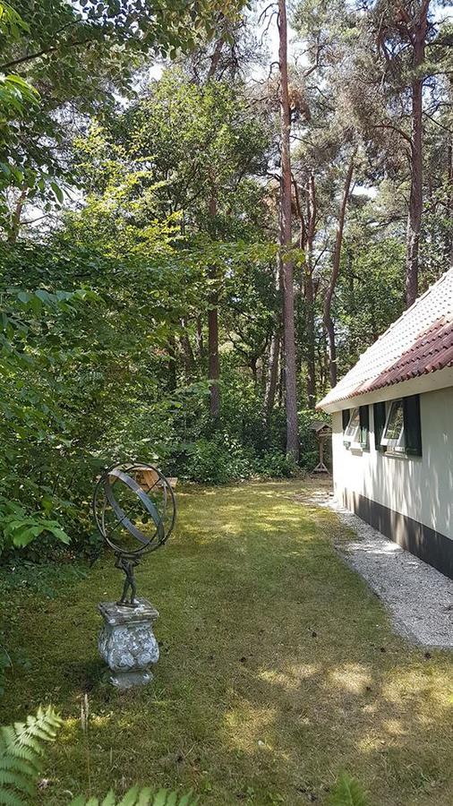 Wittebergen25 Villa IJhorst ภายนอก รูปภาพ